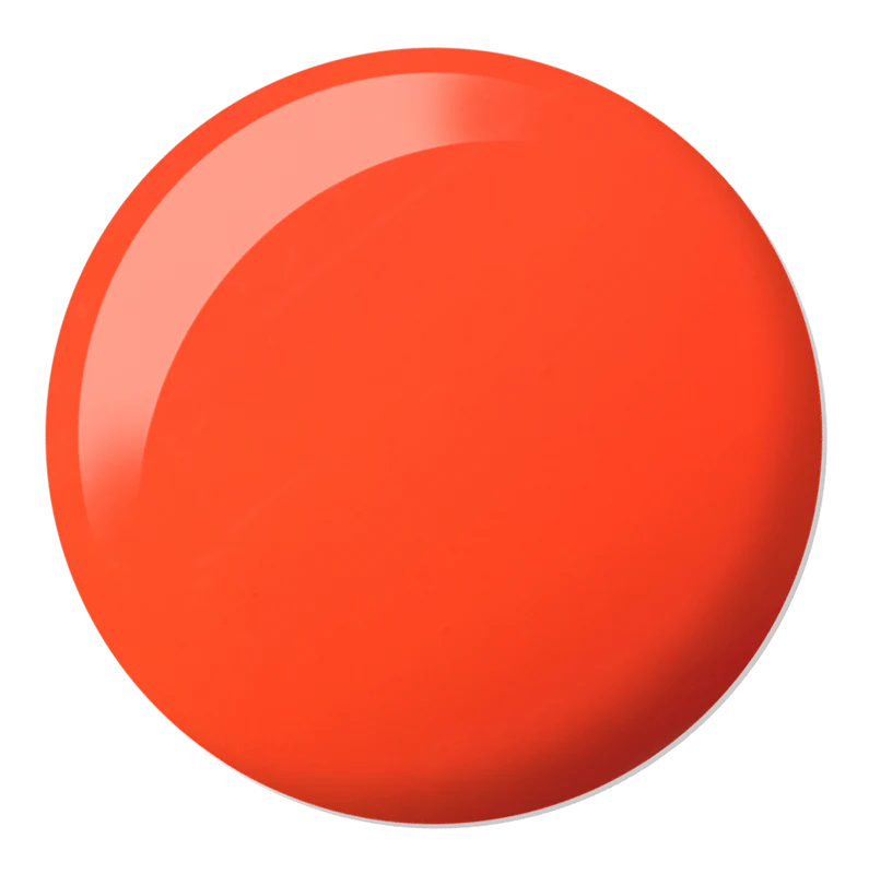 DND DC 2542 Untamed - Image 2