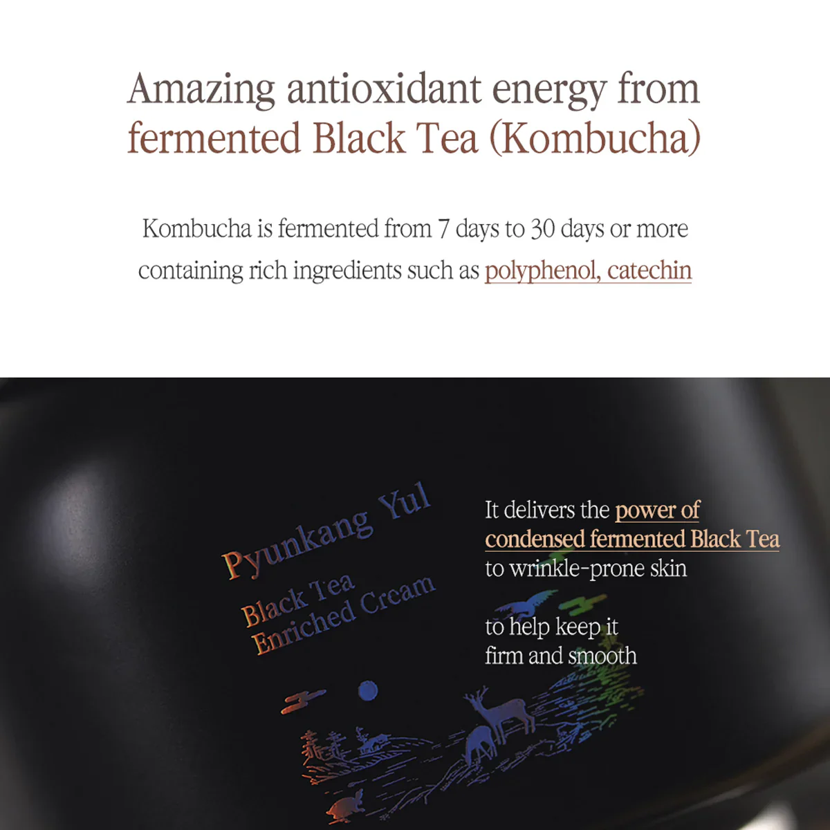 Pyunkang Yul Black Tea Enriched Cream 60ml - Image 5