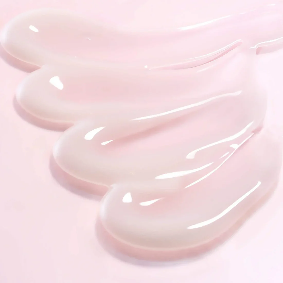 Round Lab Camellia Deep Collagen Firming Cream 50mL - Image 5