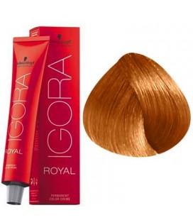 Schwarzkopf Permanent Color Igora Royal 9 - Image 2